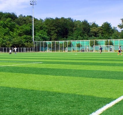 Artificial Turf
